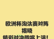 爱游戏下载免费-南斯拉夫之战，南斯拉夫队遗憾止步欧洲杯淘汰赛的简单介绍